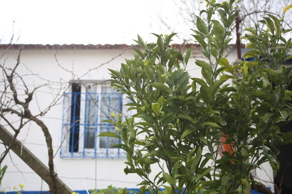 Sintra Nomad Lodge 외부 사진