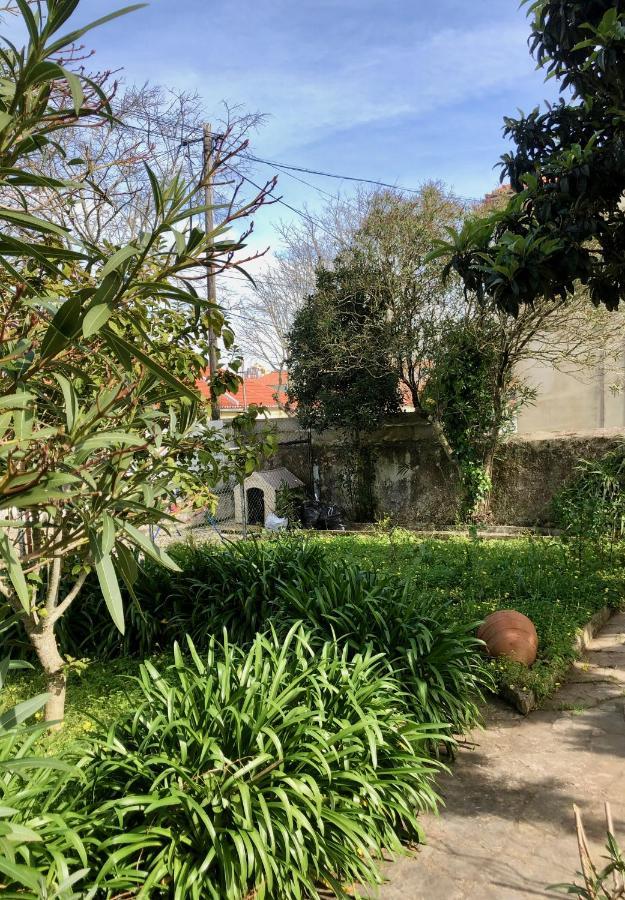 Sintra Nomad Lodge 외부 사진